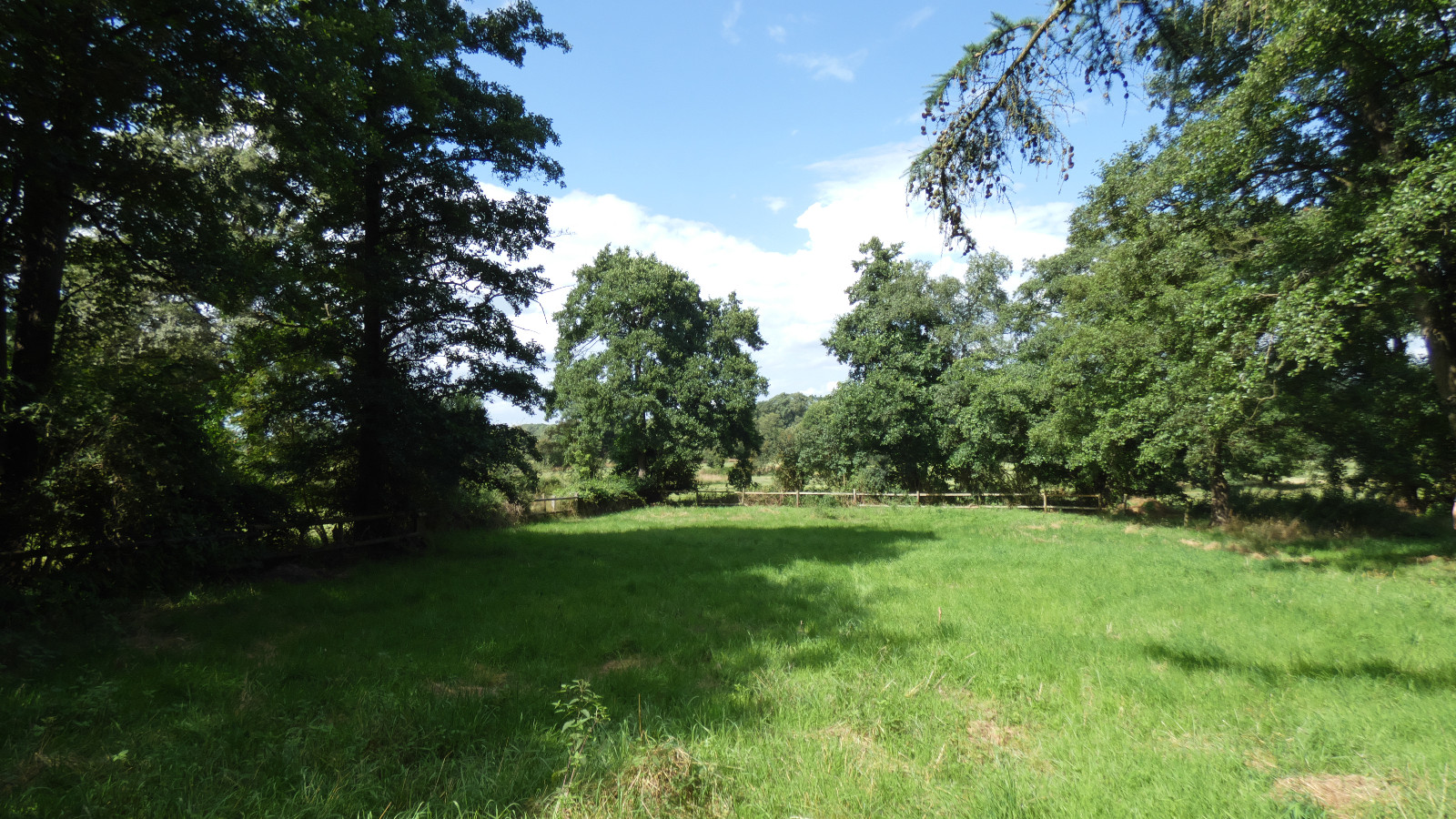 Neues Werkzeug für die Vereinswiese